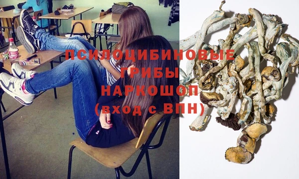 гидропоника Алзамай
