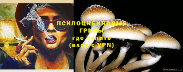 гидропоника Алзамай