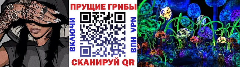 Галлюциногенные грибы ЛСД  Кыштым 