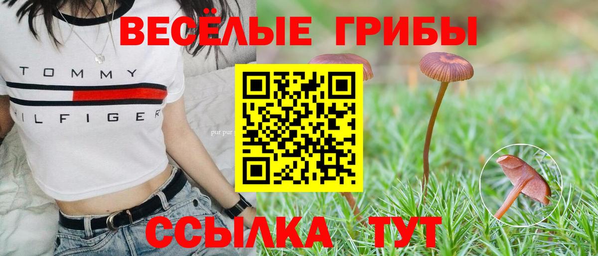 Псилоцибиновые грибы Psilocybe  Вход с VPN  Кыштым 