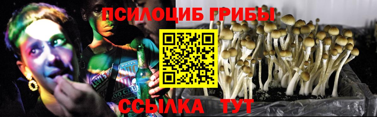 Галлюциногенные грибы мухоморы Кыштым
